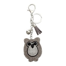 Load image into Gallery viewer, Car Keyring Full Crystal Key Holder Gold Key Chain Cute Owl Leather Tassel Keychain Pendant porte clef Charm Jewelry llaveros